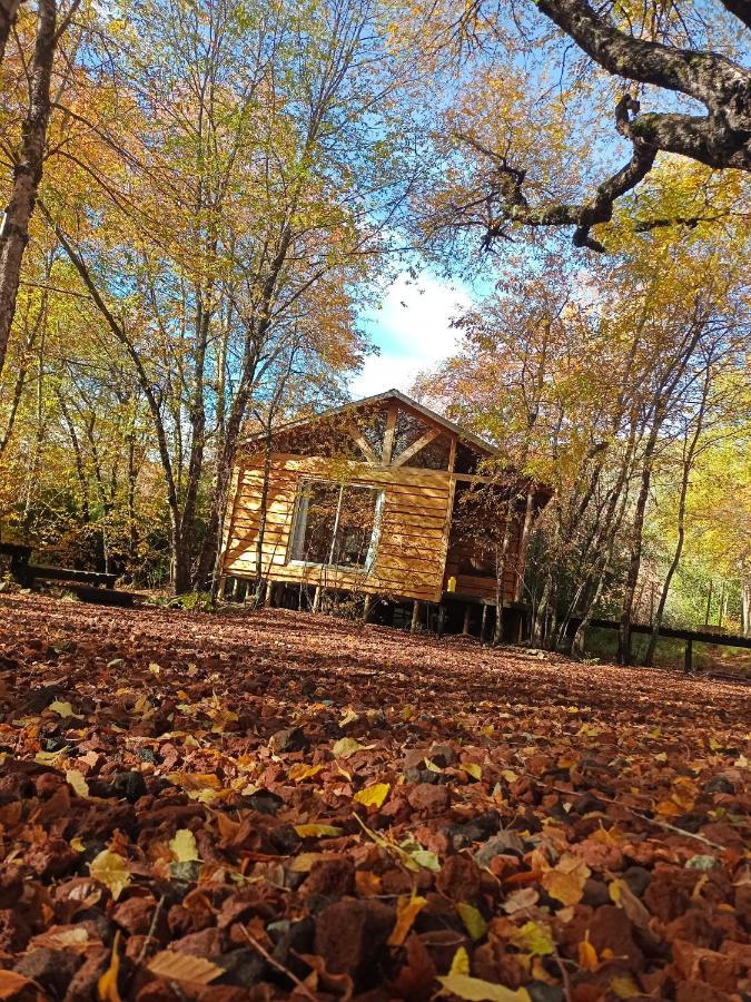 Cabanas Huilipan Las Trancas Kültér fotó