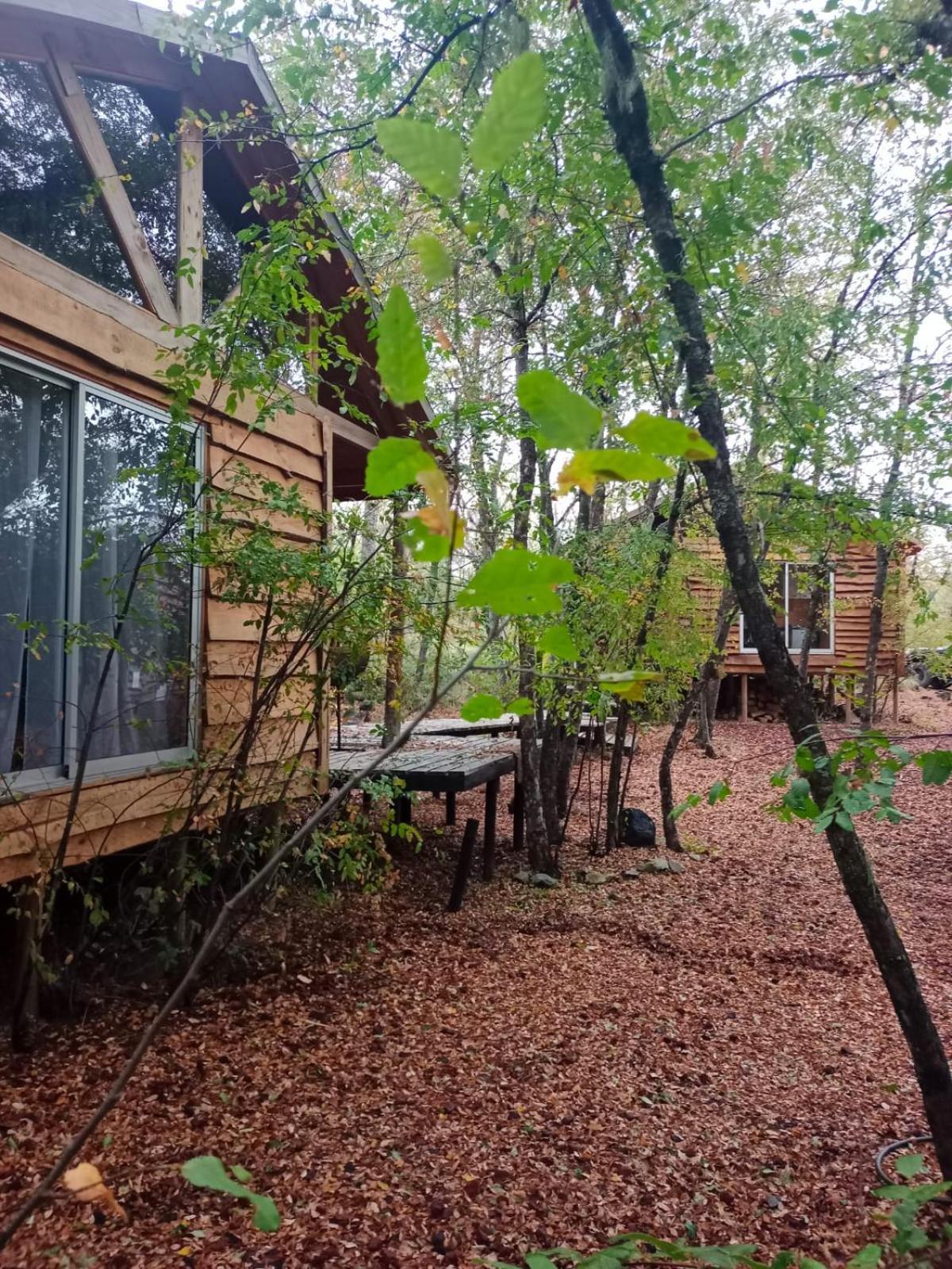 Cabanas Huilipan Las Trancas Kültér fotó