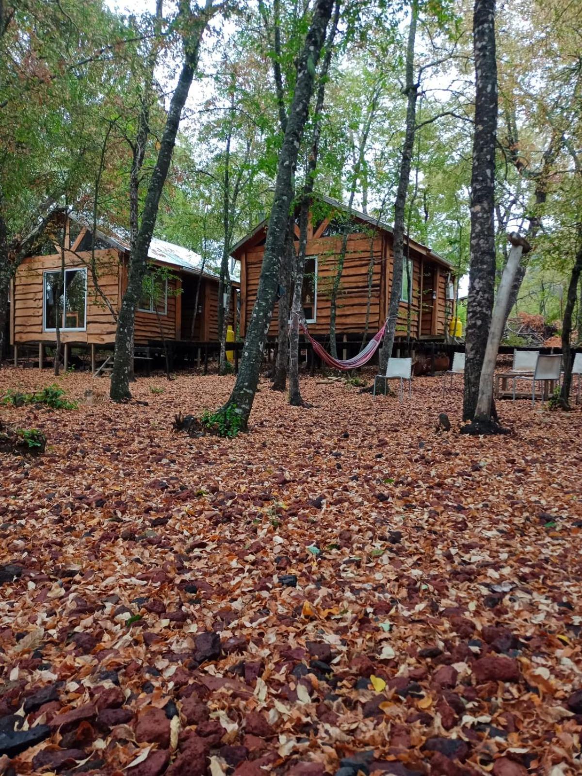 Cabanas Huilipan Las Trancas Kültér fotó