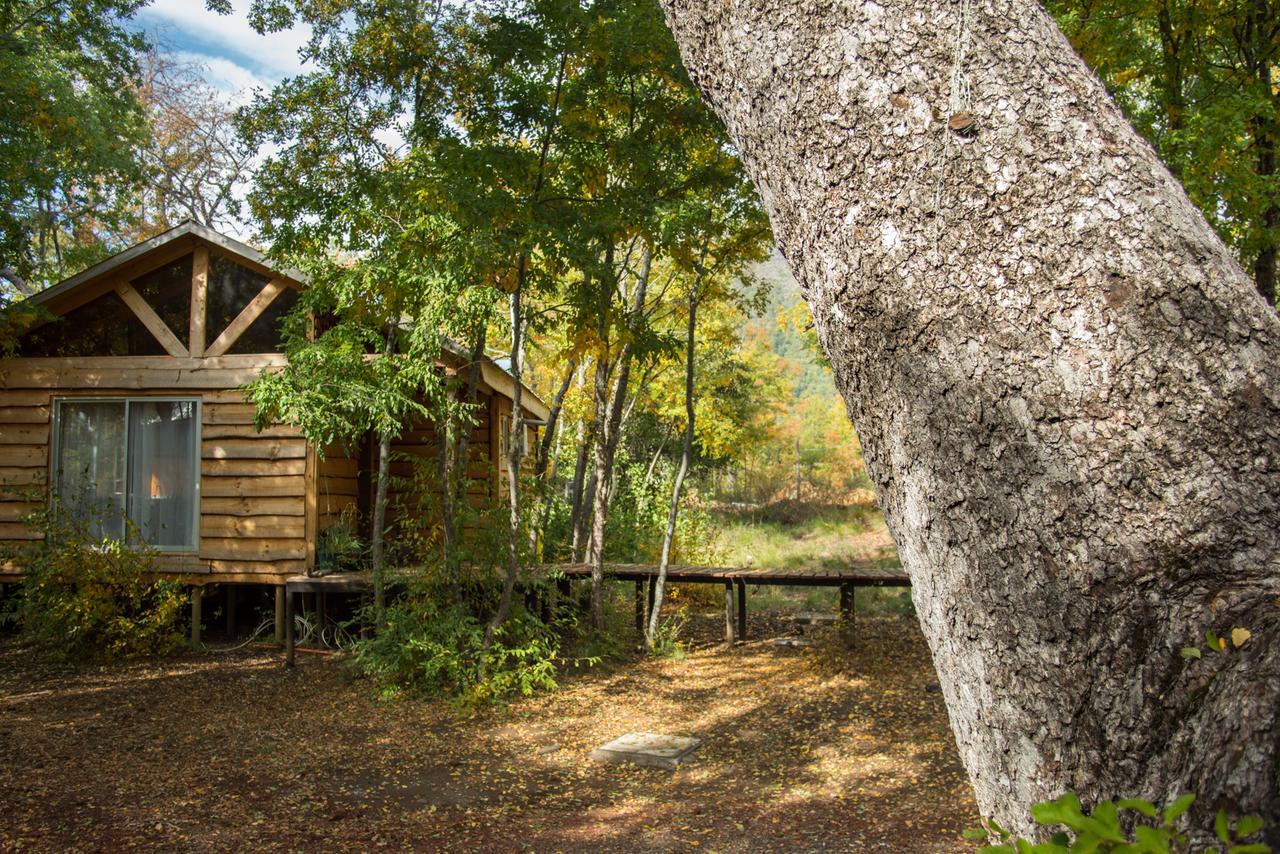 Cabanas Huilipan Las Trancas Kültér fotó